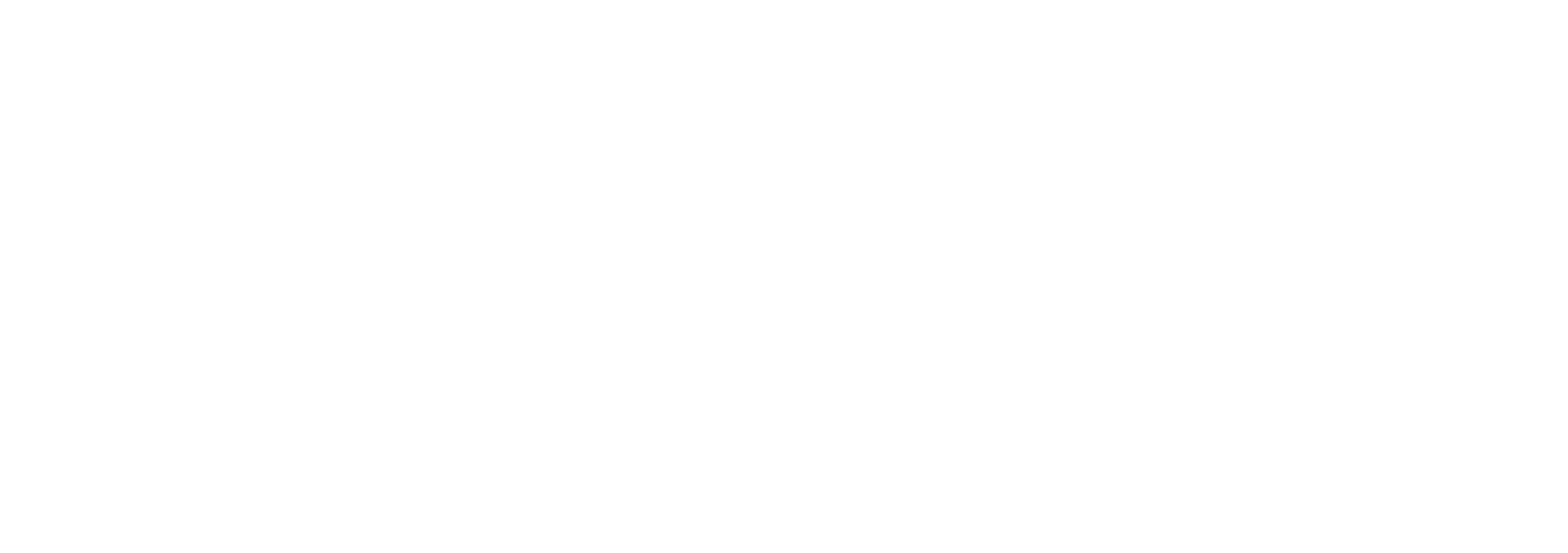 Polygon Logo - Fidec